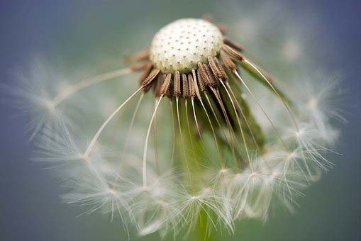178